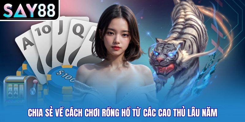 Chia sẻ về cách chơi Rồng Hổ từ các cao thủ lâu năm